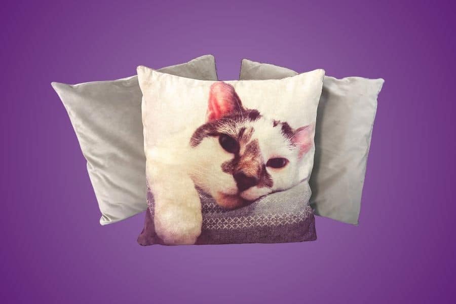 Personalised cushion cover of a pet as Christmas gifts for older women