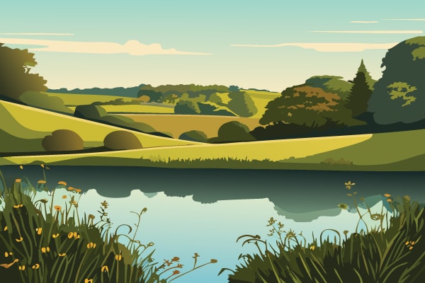 Digital illustration of a nature reserve